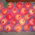 fournisseur de pommes chinoises exportation pomme fuji frais